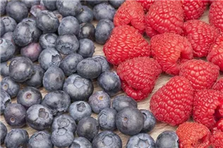 Beerenobst - Beeren Beerenobst - Beeren